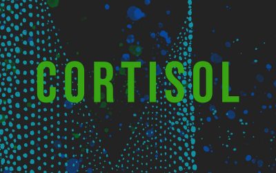 Cortisol – Das meist missverstandene Steuerhormon unseres Körpers