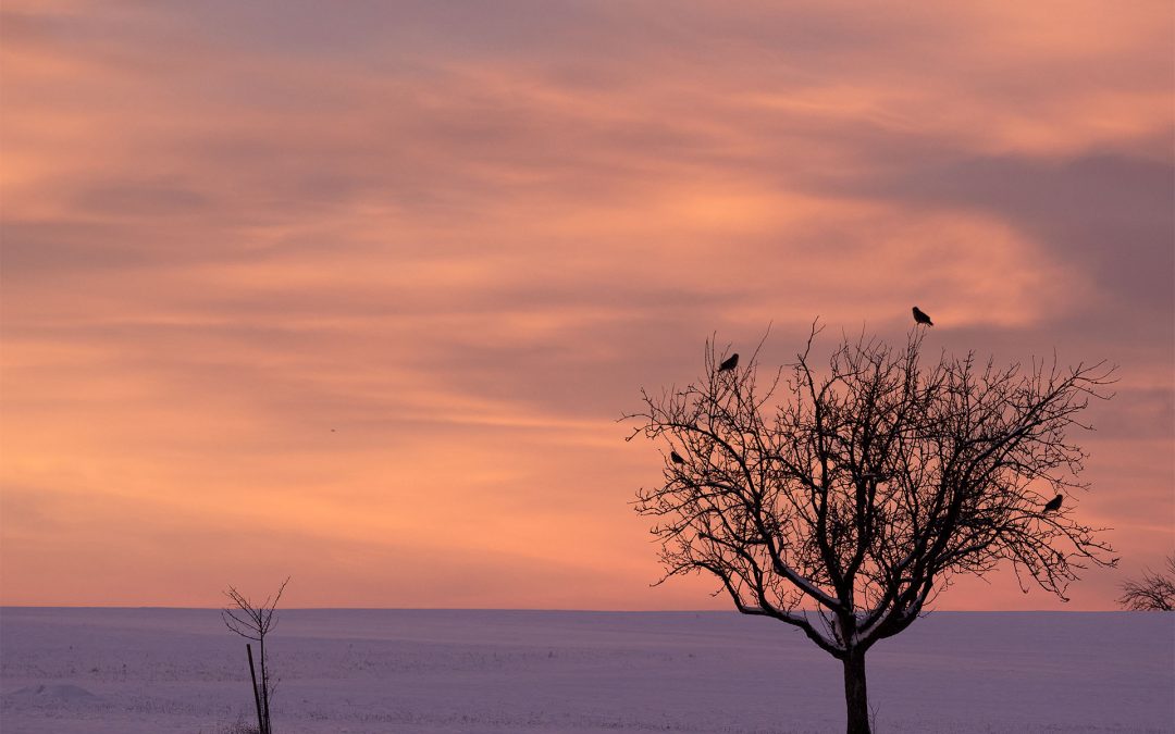 Neues Jahr, neuer Fokus!